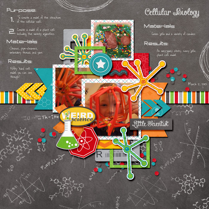 L-0305-Cell-Science