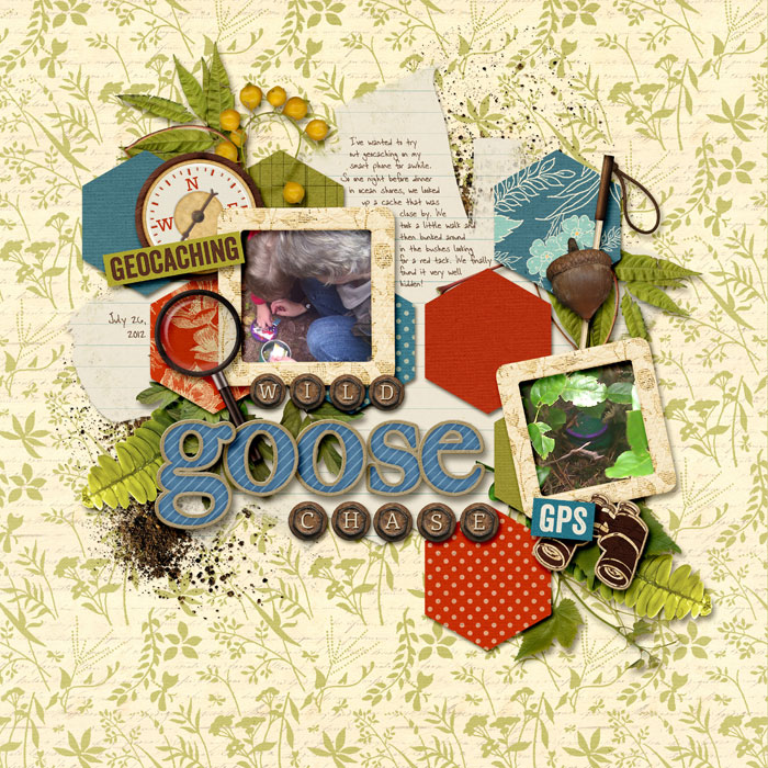 L-0726-Geocache-Web