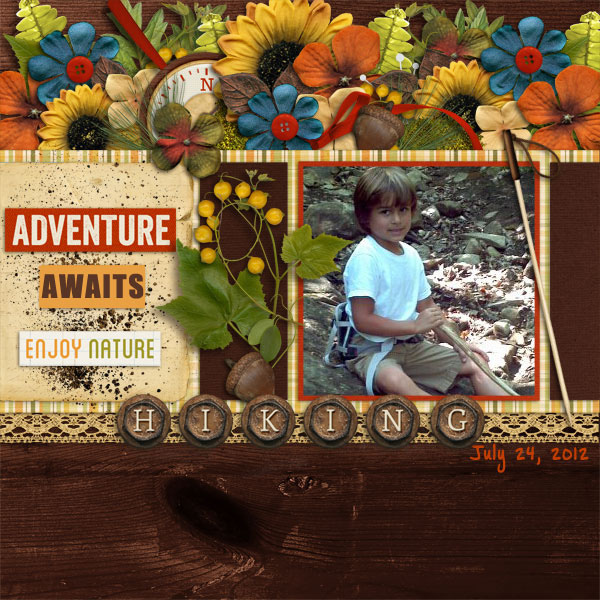 LBSD_Tweenager2a_copy