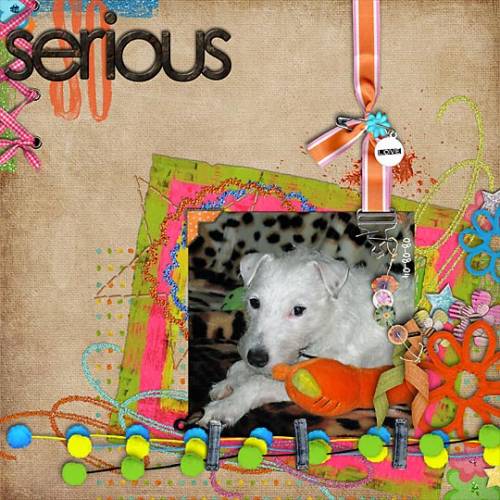 LR_soserious_HP