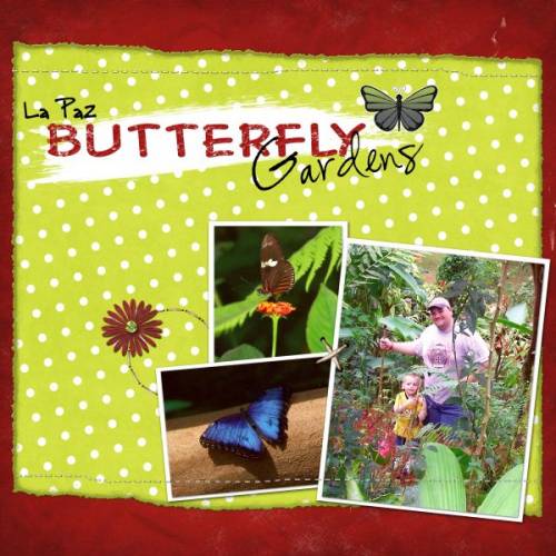 La_Paz_Butterfly_Gardens_copy