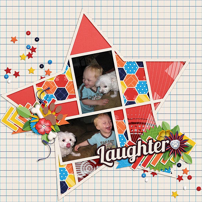 Laughter_SSD