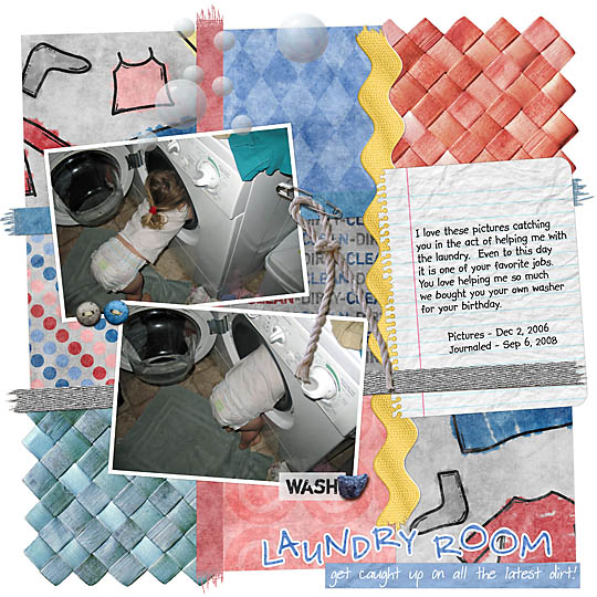 Laundry_helper