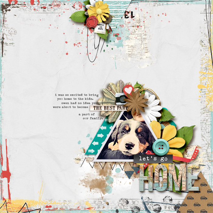 Let_s-Go-Home-SBD
