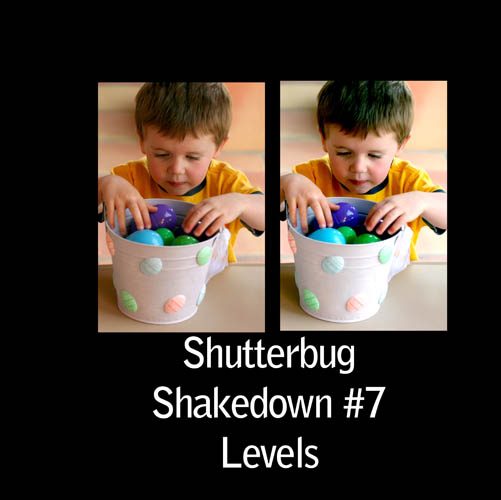Levels_1