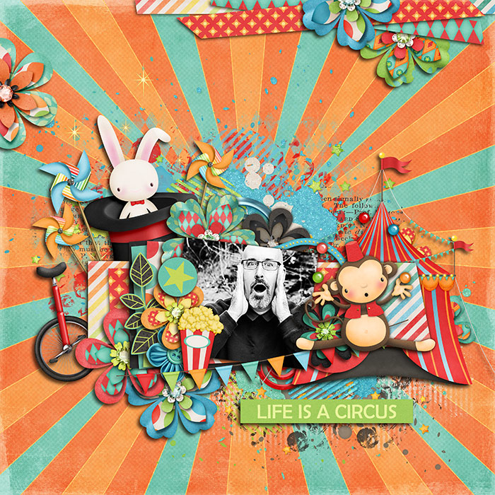 Life-is-a-Circus