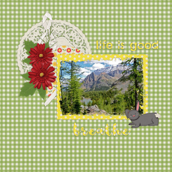 Life_is_good8