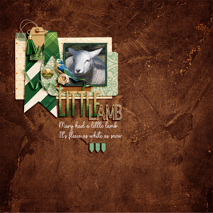 LittleLambweb
