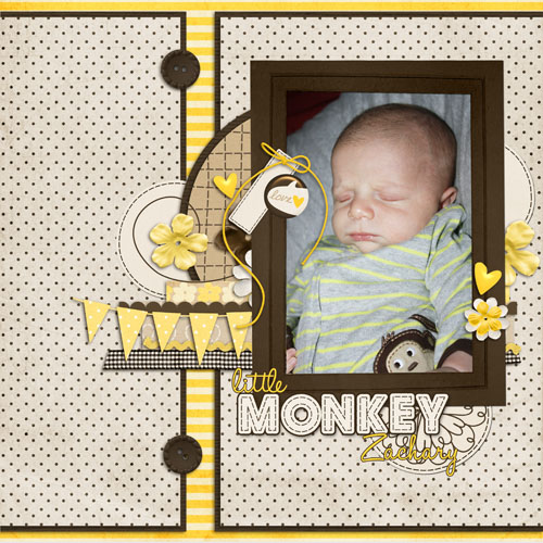 Little_Monkey_Zachary_preview