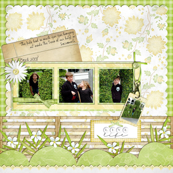 LiveLife-web