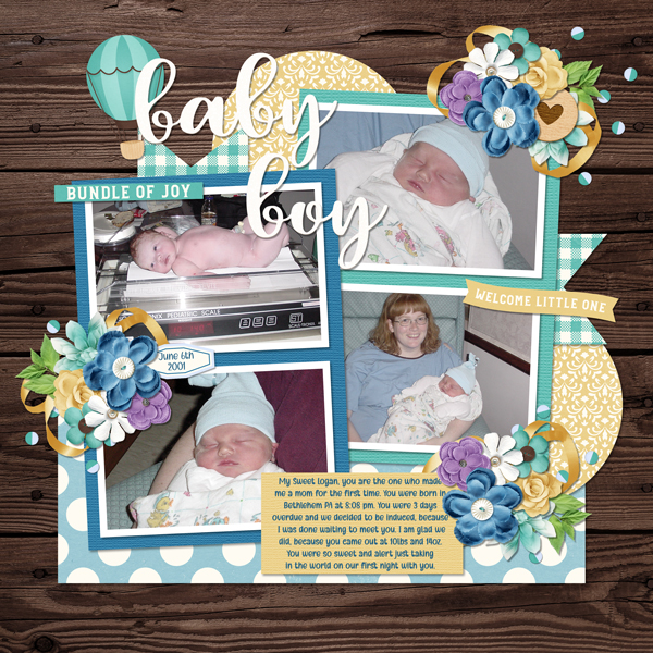 Logan-birth-web