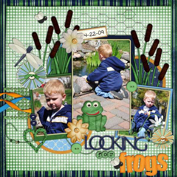 Looking-for-Frogs