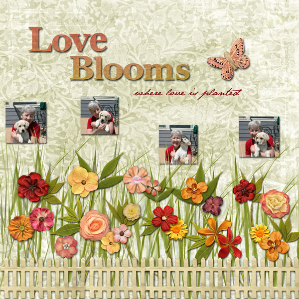 Love-Blooms2