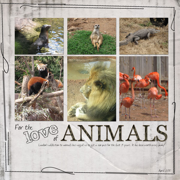 Love-of-Animals