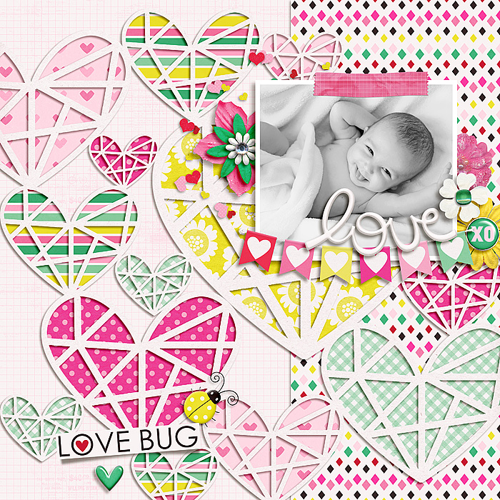 LoveBug_SSD_mrsashbaugh