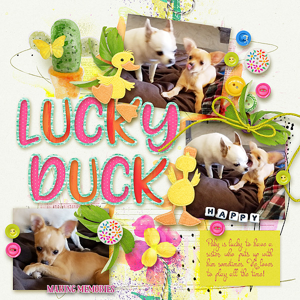 Lucky-PocoWEB
