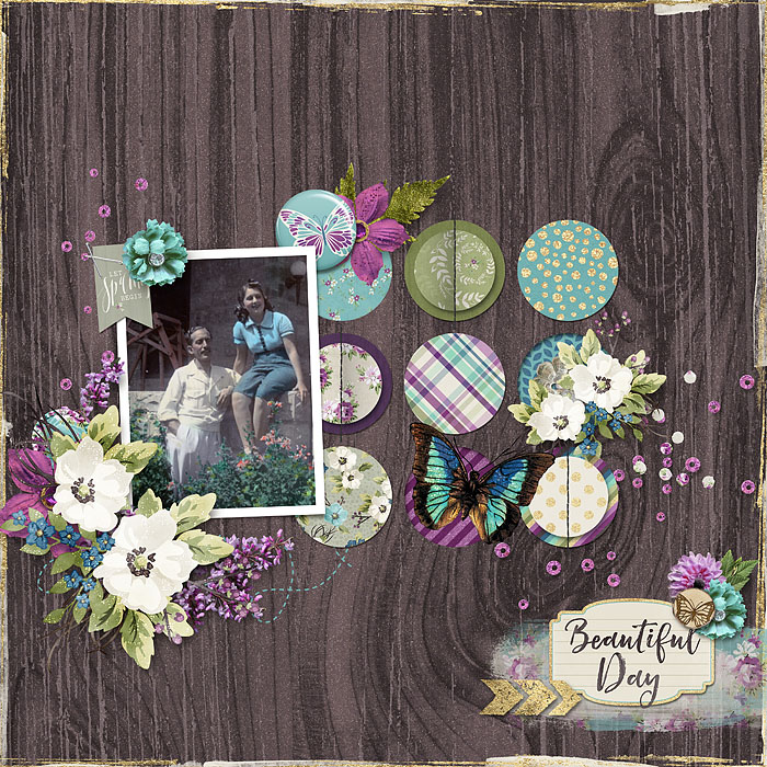 Luly_Meadowlark_web