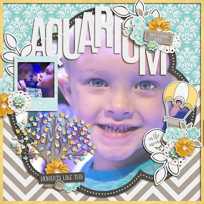 MC_aquarium_CT7