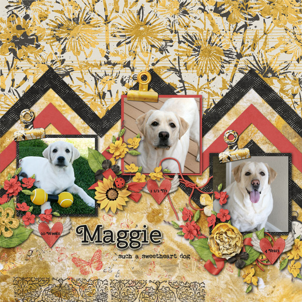 Maggie-Sweetheart-dog