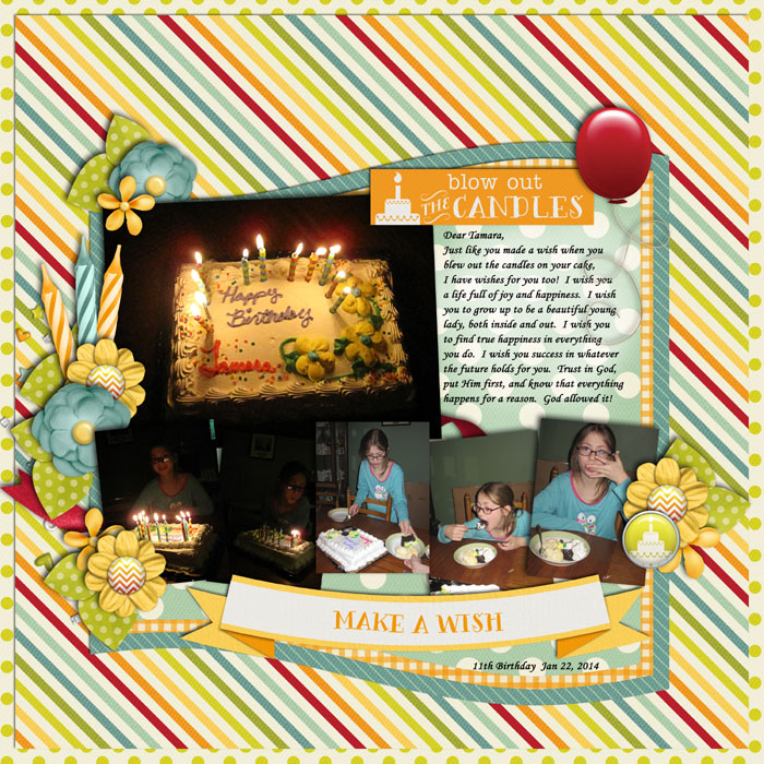 Make-A-Wish-Jan_2014_smaller