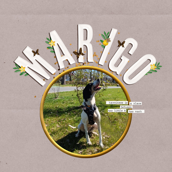 Marigo