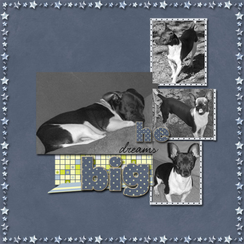 Max_the_Big_Dog_