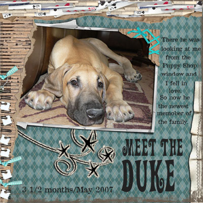 MeettheDuke2