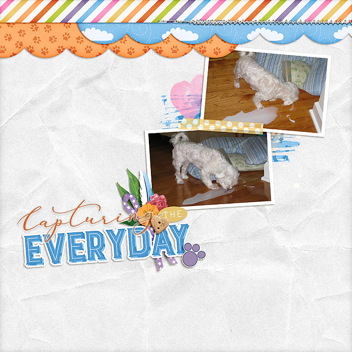 MilkDog_SSD