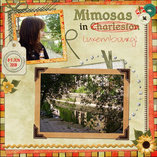 Mimosas_copy2