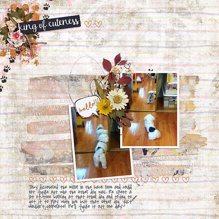 MirrorDog_SSD
