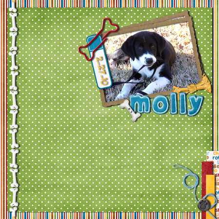 Molly-for-web