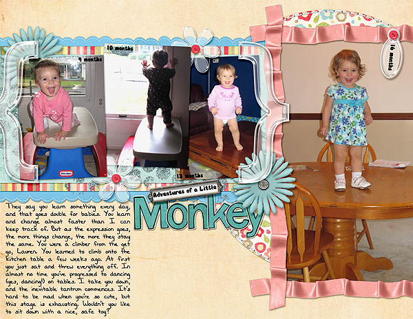 Monkey_rach3975