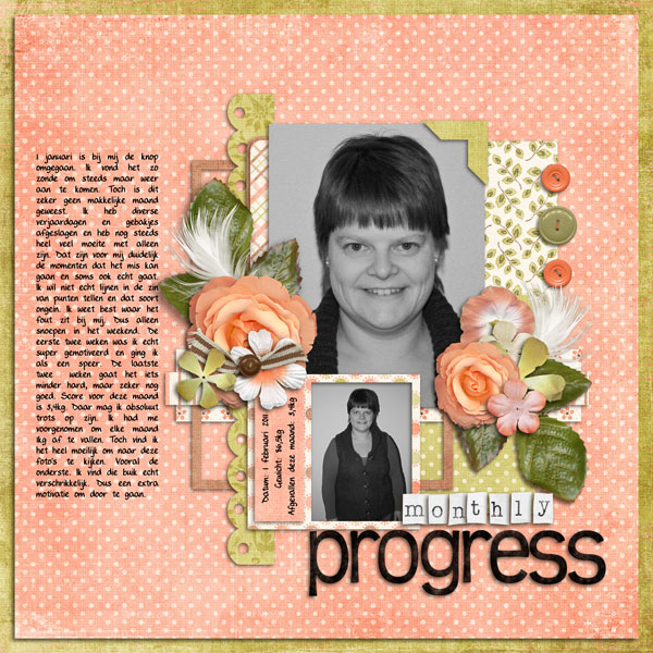Monthly-progress-ssd