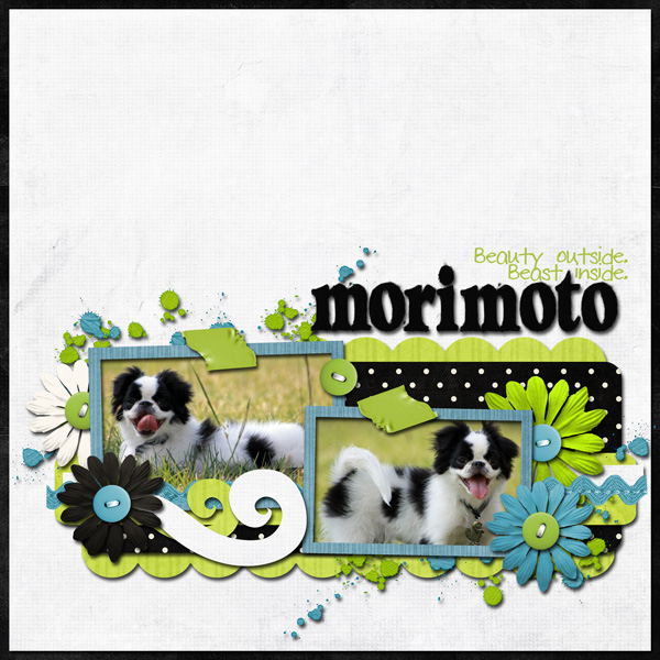 Morimoto