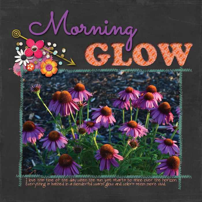 Morning-Glow