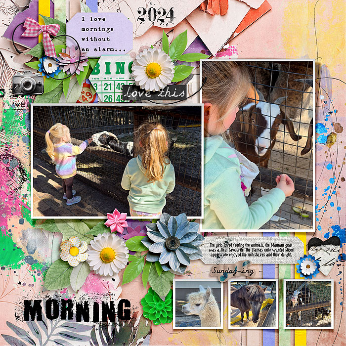 Morning5
