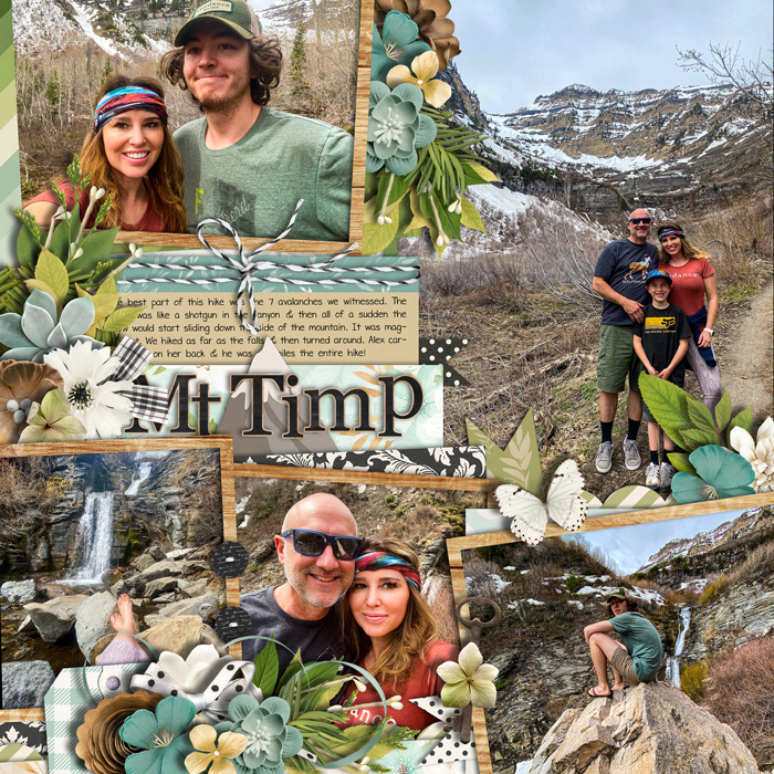 MtTimp2021web