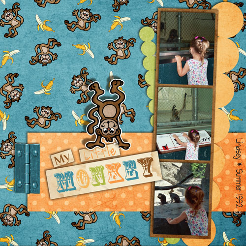 My-Little-Monkey2