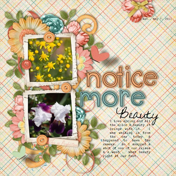 NOTICE_MORE_BEAUTY