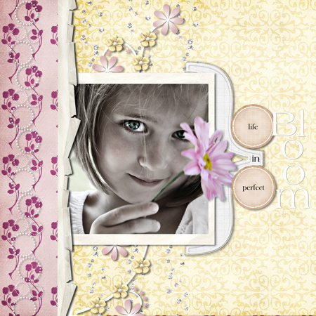 Natalie-life-in-perfect-blo