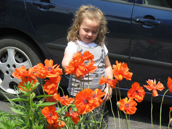 NatandPoppies
