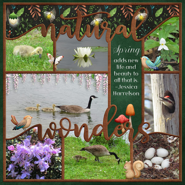 Natural-Wonders-fw