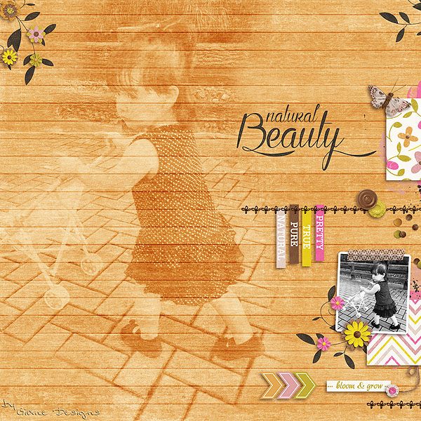 NaturalBeautiybyNaturalBeautyKit_copiar