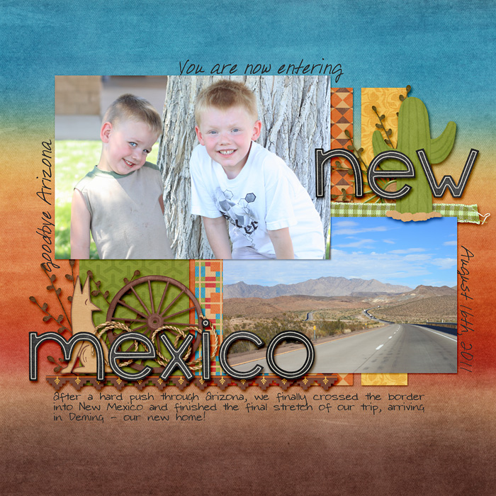 NewMexico2-700sfw