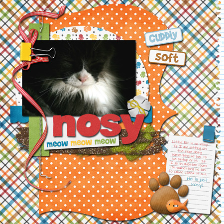 Nosy-for-web