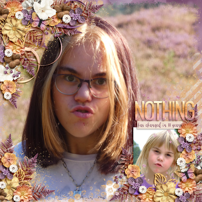 NothingHasChangedweb
