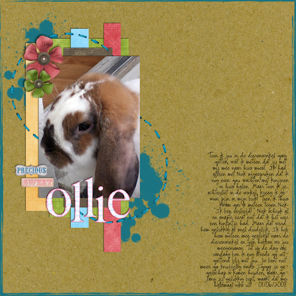 OllieForWeb