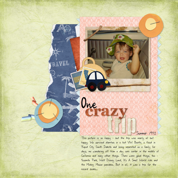 One-Crazy-Trip