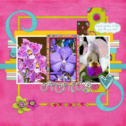 Orchids_Custom_