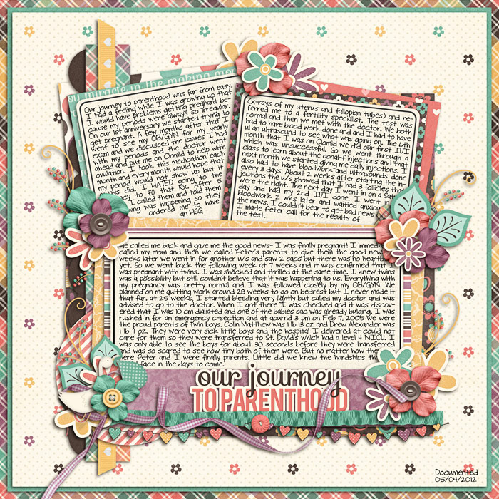 OurJourneytoParenthood